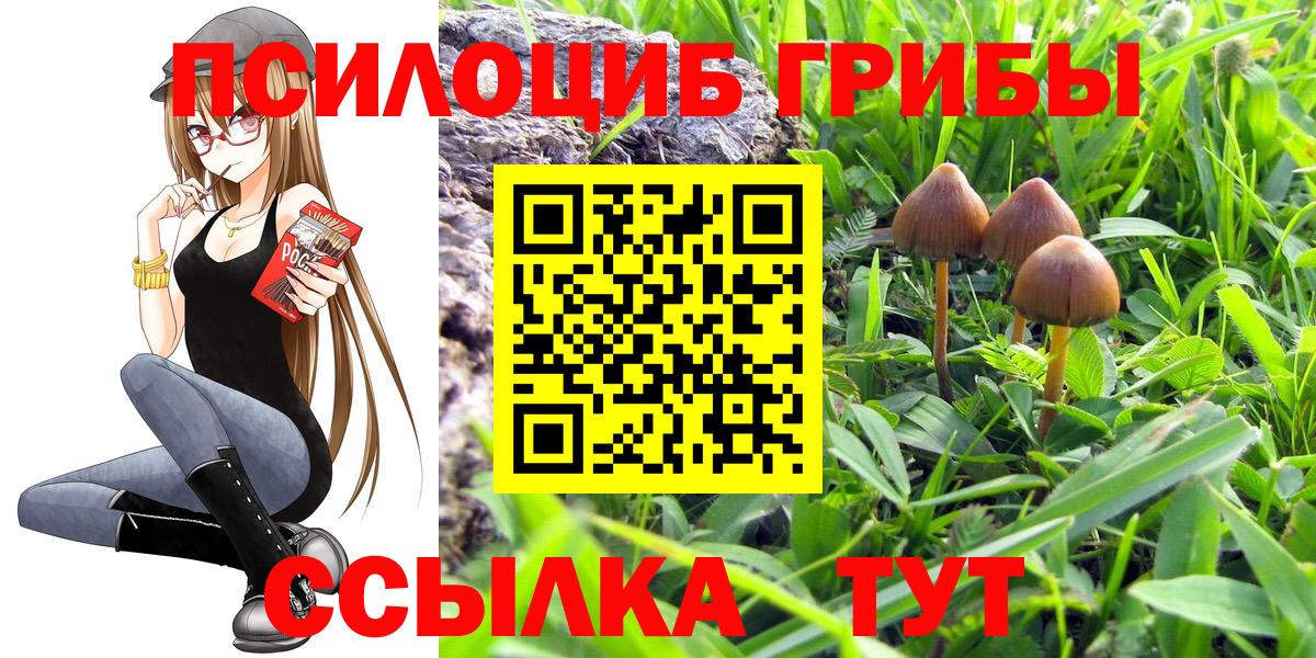 наркотики  Вход с VPN  Свободный  Галлюциногенные грибы Cubensis 